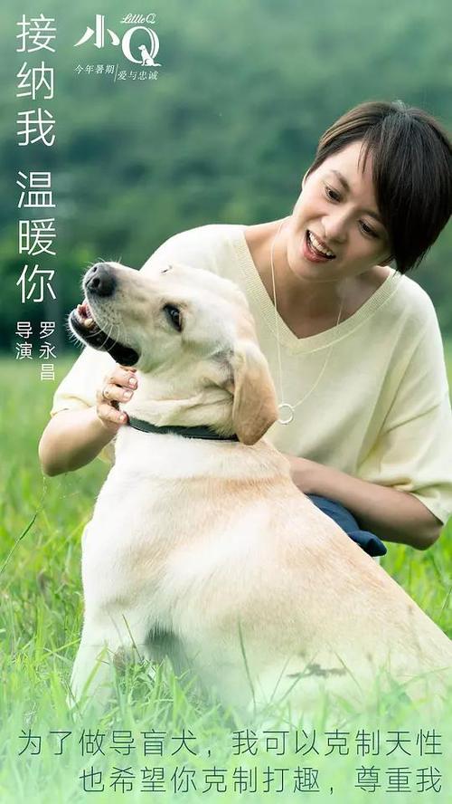广东东莞不动产证查询官网